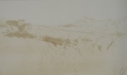 Montepulciano landscape