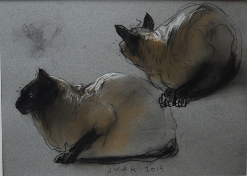 Koshka