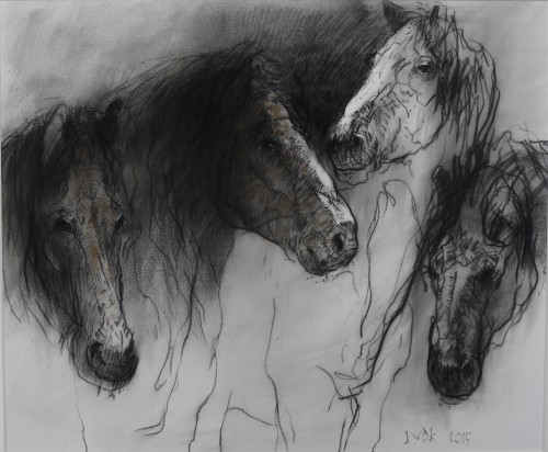 paarden / horses