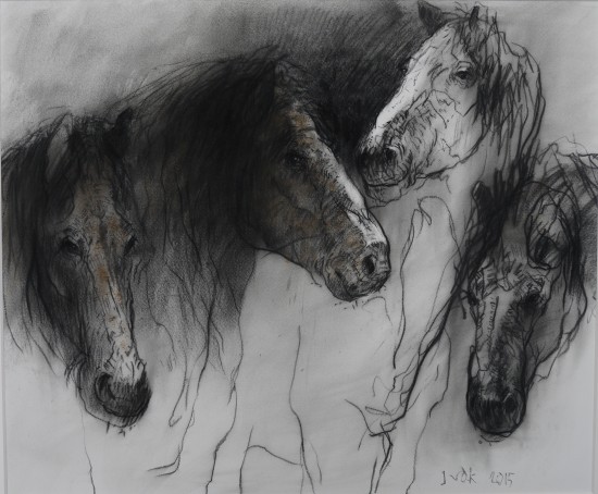 horses