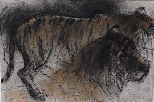 tijgers / tigers