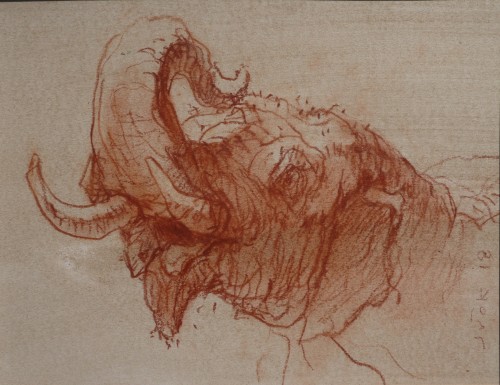 male elephant