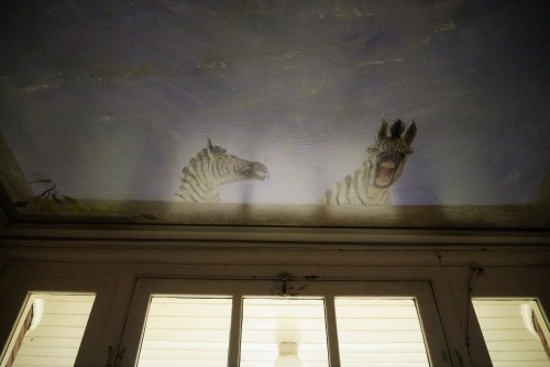 zebra's