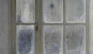bevroren raam / frozen window