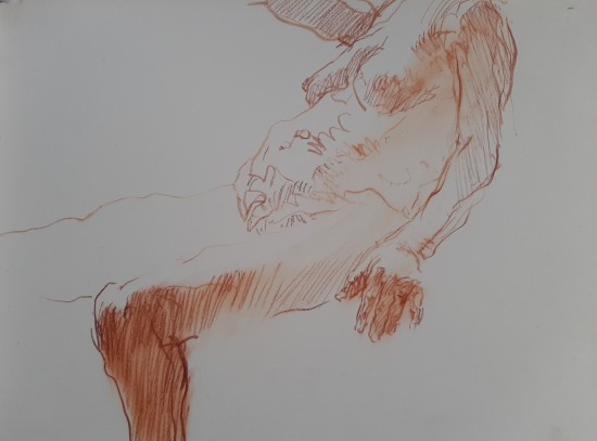 study female nude