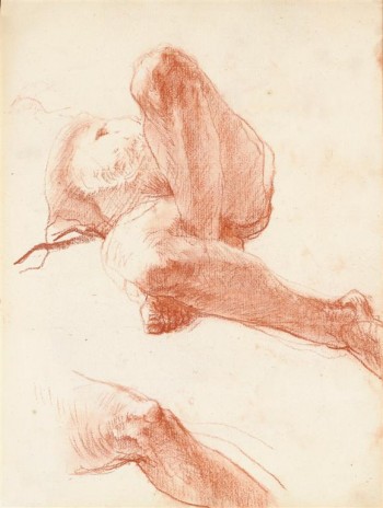 naaktstudie / study of legs