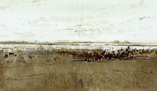 landschap in Zeeland / landscape