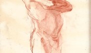 mannelijke naakt / male nude