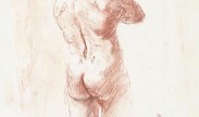 mannelijk naakt / male nude