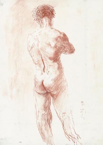 mannelijk naakt / male nude